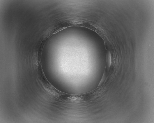 X0000073470512200608111539