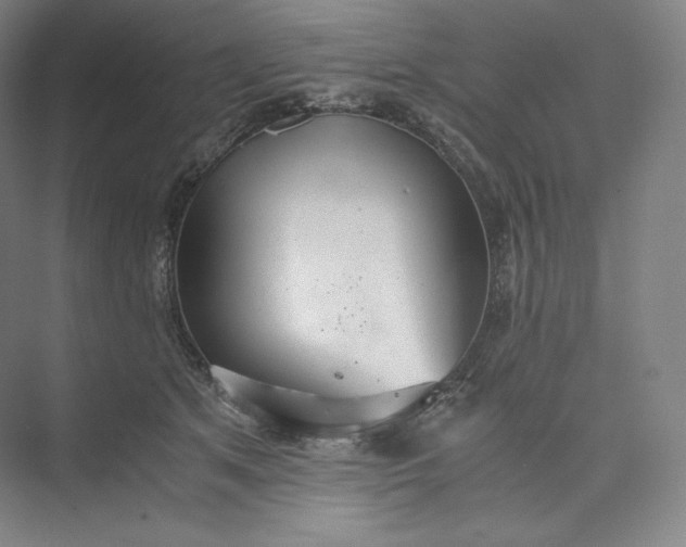 X0000073470513200608111539