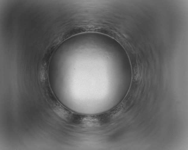 X0000073470515200608111539