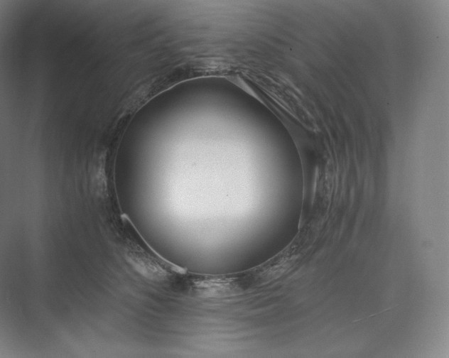 X0000073470516200608111539