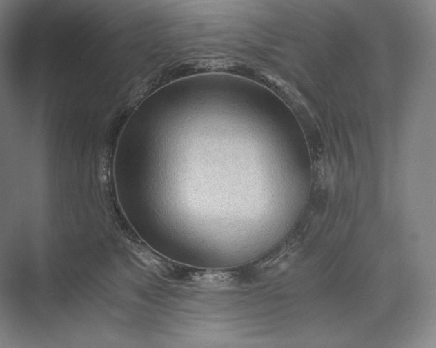 X0000073470517200608111539