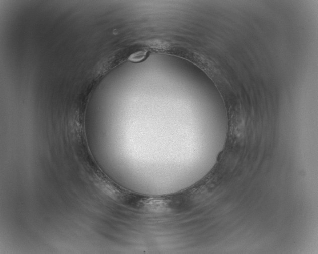 X0000073470518200608111539