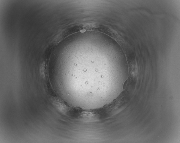 X0000073470519200608111539