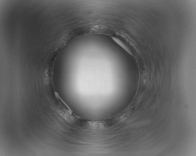 X0000073470520200608111539