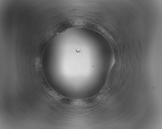 X0000073470521200608111539