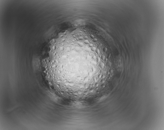 X0000073470523200608111539