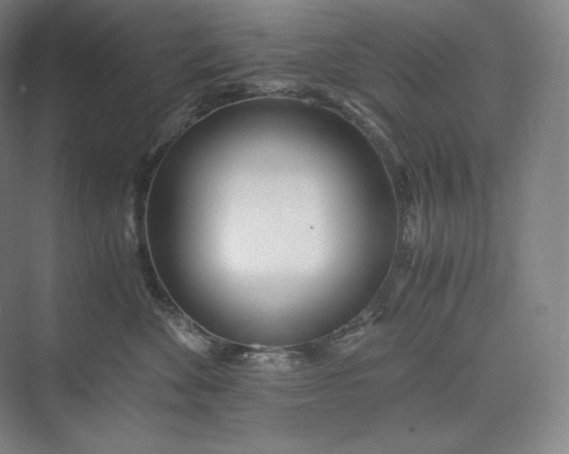 X0000073470524200608111539