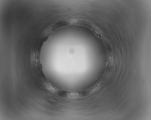 X0000073470525200608111539