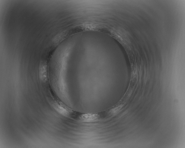 X0000073470526200608111539