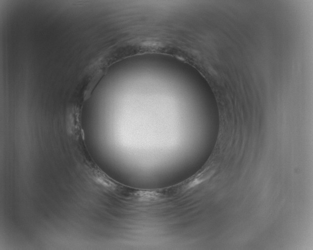 X0000073470528200608111539