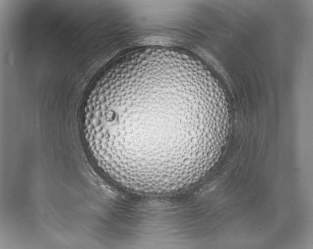 X0000073470529200608111538