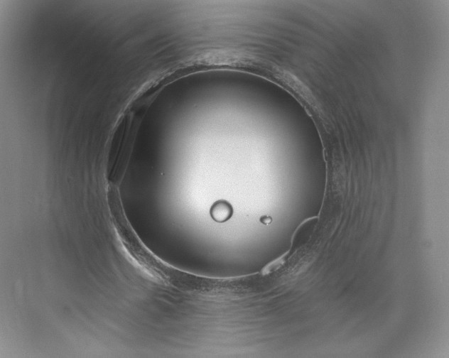 X0000073470530200608111538