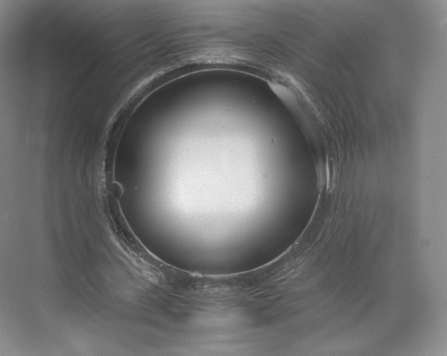 X0000073470531200608111538