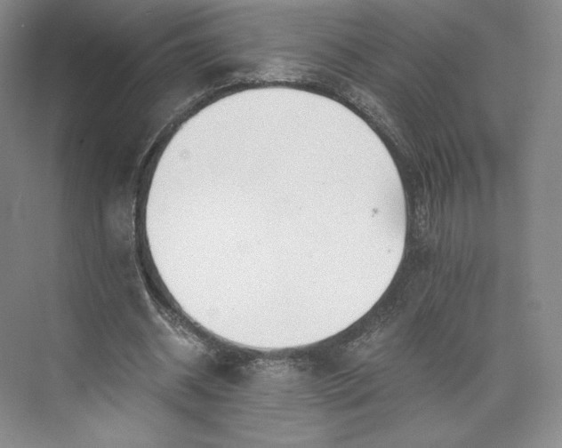 X0000073470534200608111538