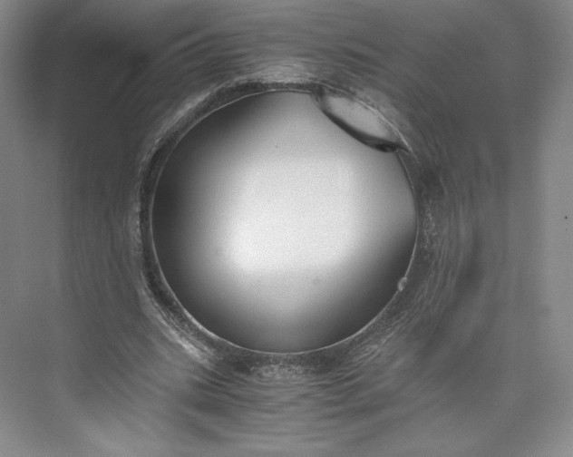 X0000073470535200608111538