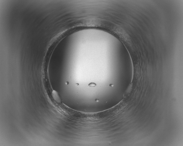 X0000073470536200608111538