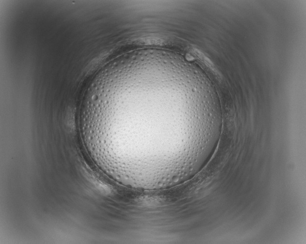 X0000073470537200608111538