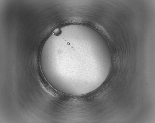 X0000073470538200608111538