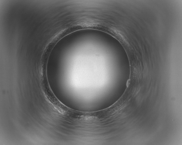 X0000073470539200608111538