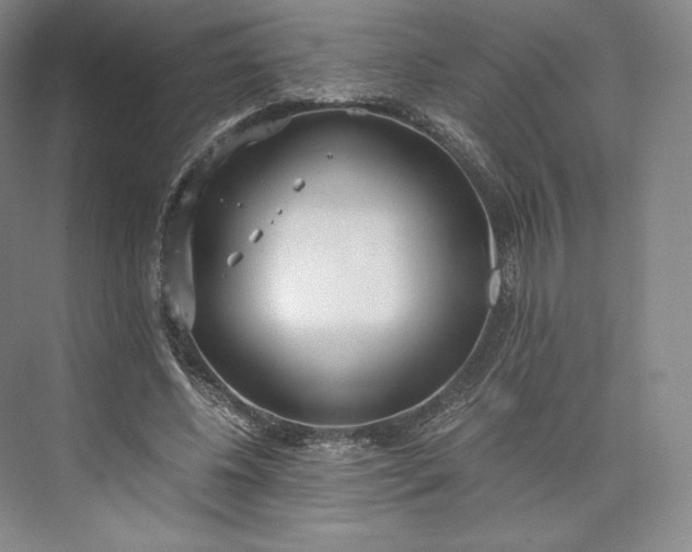 X0000073470540200608111538