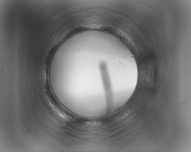 X0000073470541200608111538