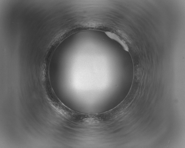 X0000073470544200608111538