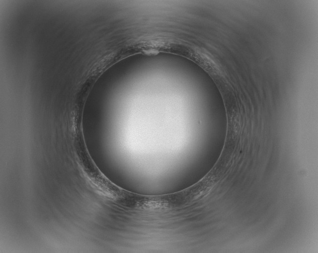 X0000073470546200608111539