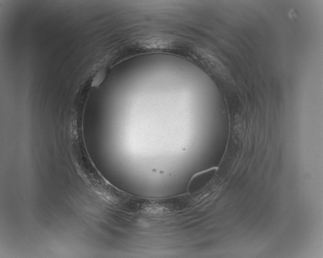 X0000073470547200608111539