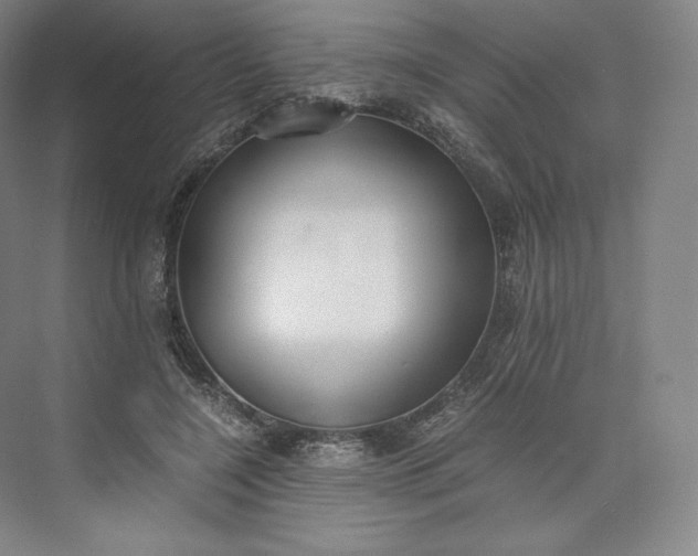 X0000073470548200608111539