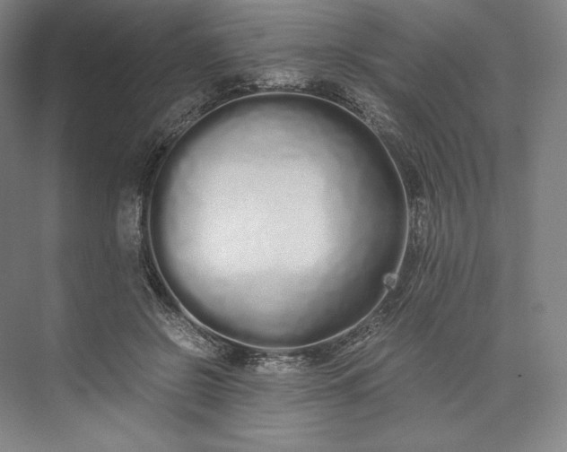 X0000073470550200608111539