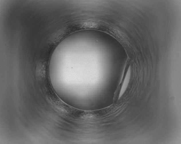 X0000073470551200608111539