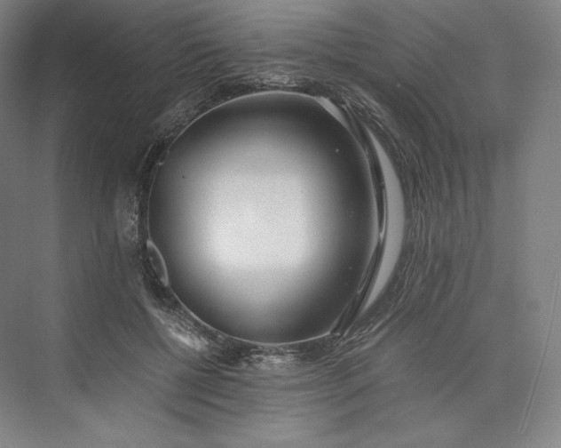 X0000073470552200608111539