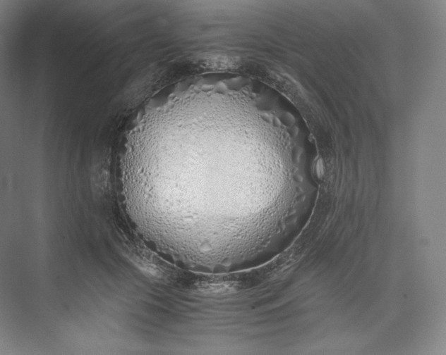 X0000073470553200608111539