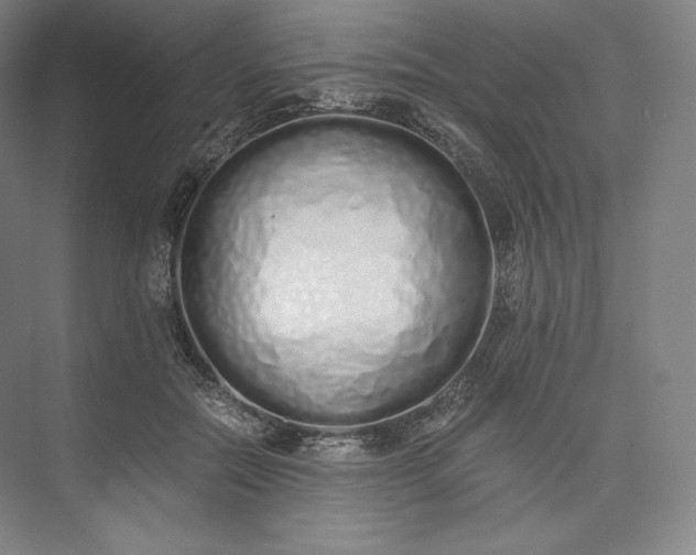 X0000073470554200608111539