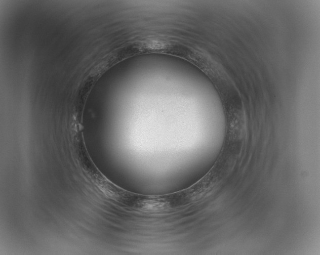 X0000073470555200608111539