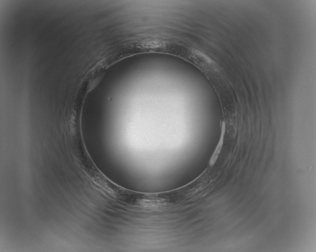 X0000073470556200608111539