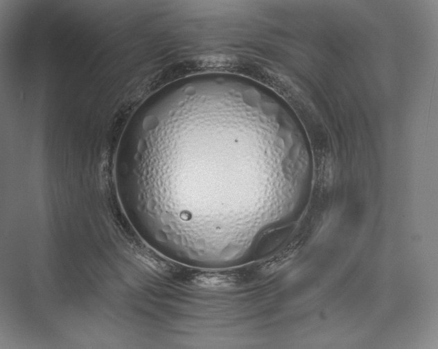 X0000073470557200608111539