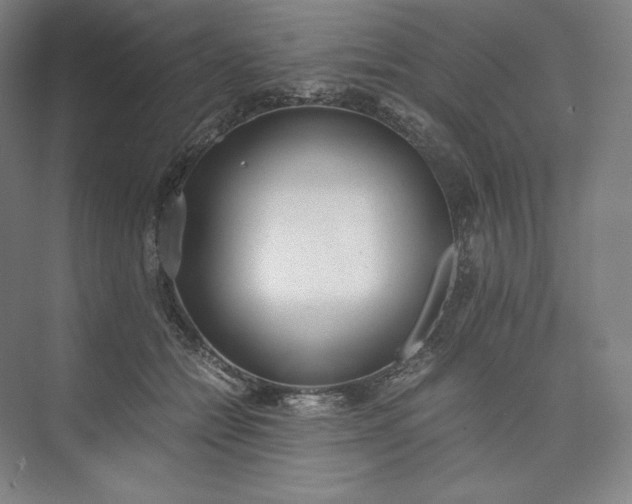 X0000073470558200608111539