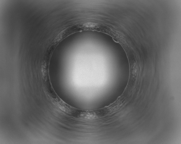 X0000073470559200608111539