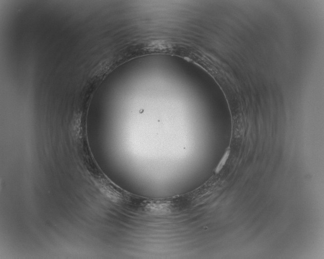 X0000073470560200608111539