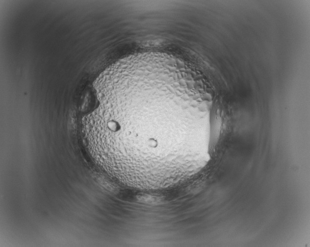 X0000073470561200608111539