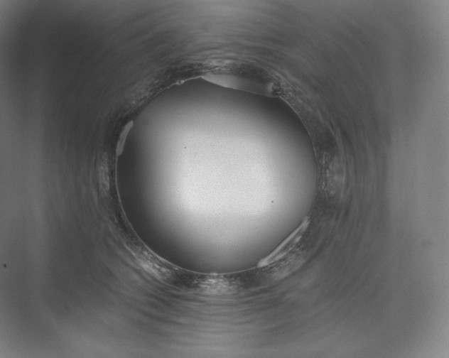 X0000073470562200608111539