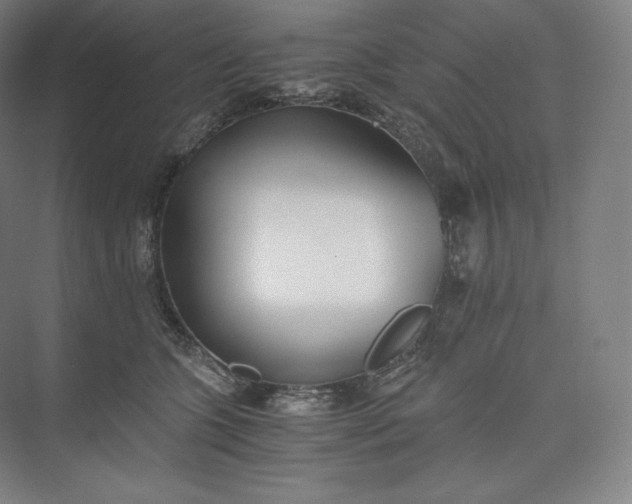 X0000073470563200608111539