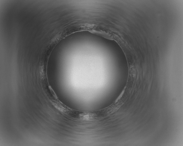 X0000073470564200608111539