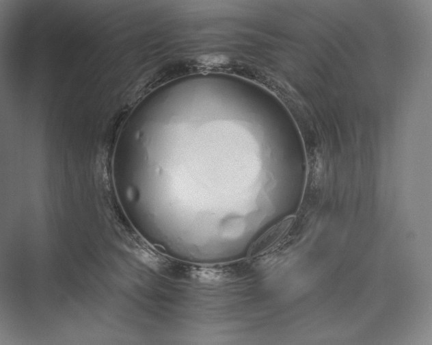 X0000073470565200608111539