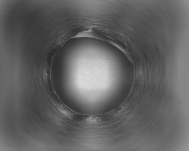 X0000073470566200608111539