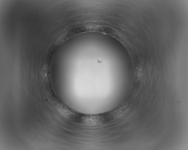 X0000073470567200608111539