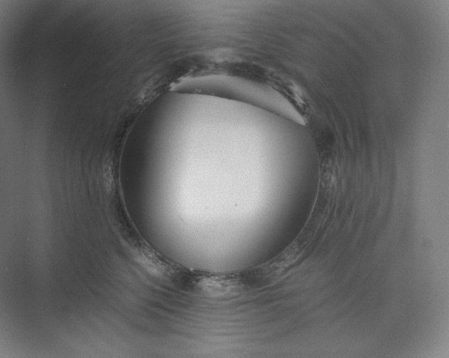 X0000073470568200608111539