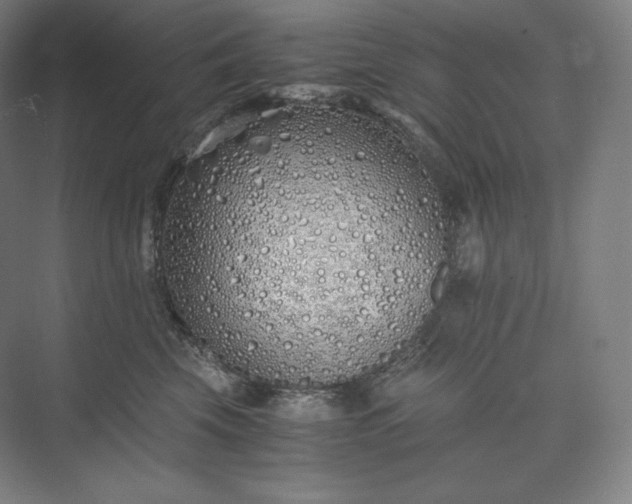 X0000073470569200608111539