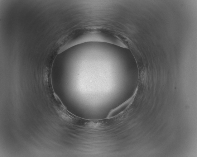 X0000073470570200608111539